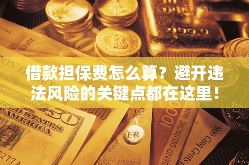 济南借款担保费怎么算？避开违法风险的关键点都在这里！