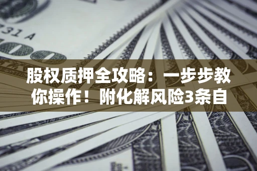 济南股权质押全攻略：一步步教你操作！附化解风险3条自救法则