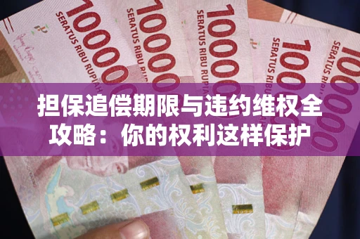 济南担保追偿期限与违约维权全攻略：你的权利这样保护