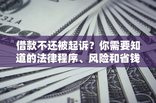 济南借款不还被起诉？你需要知道的法律程序、风险和省钱技巧